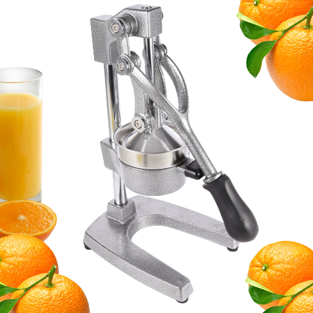 Professional Juicer - Lebanon Trends